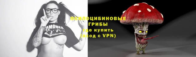 a pvp Алексеевка
