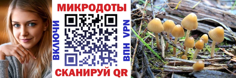 блэк спрут tor Калининск Псилоцибиновые грибы Psilocybe где найти